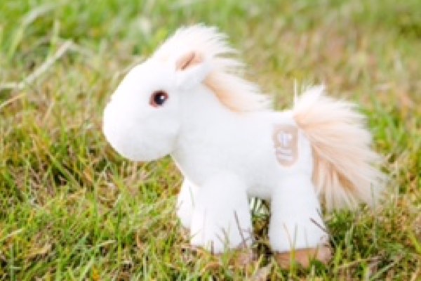 Piccoli Horses - Mini Horses