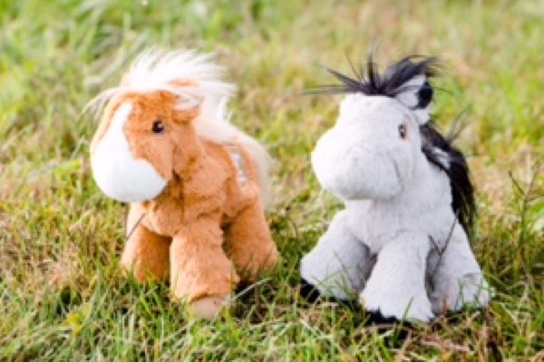 Piccoli Horses - Mini Horses