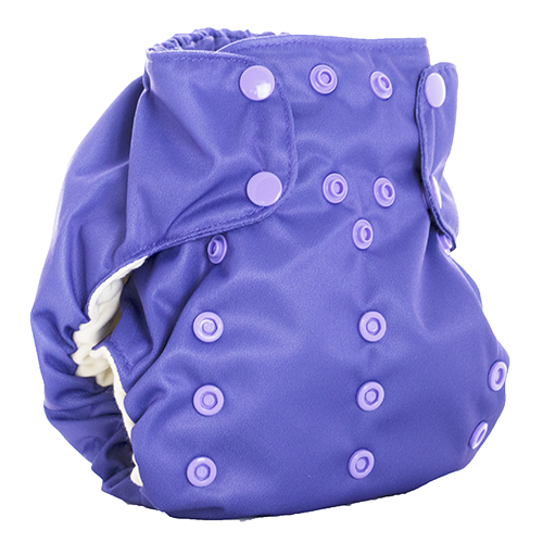 Smart Bottom Dream Diaper