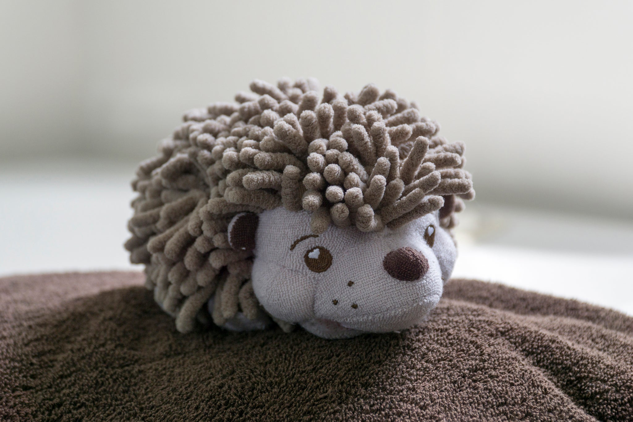 SoapSox Hendrix the Hedgehog