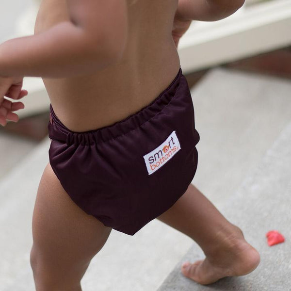 Smart Bottom Dream Diaper