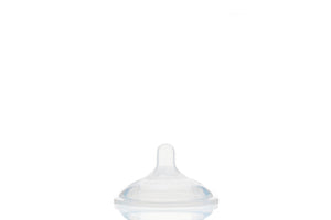 Mason Bottle 2pk Nipple