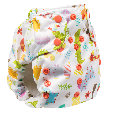 Smart Bottom Dream Diaper